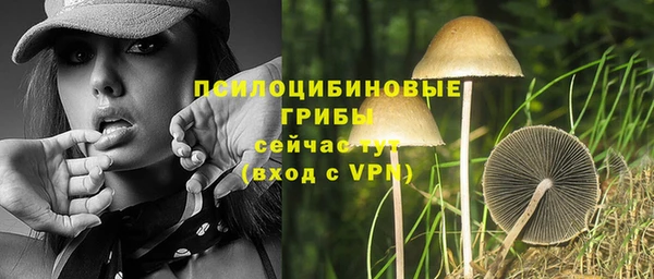 PSILOCYBIN Верея